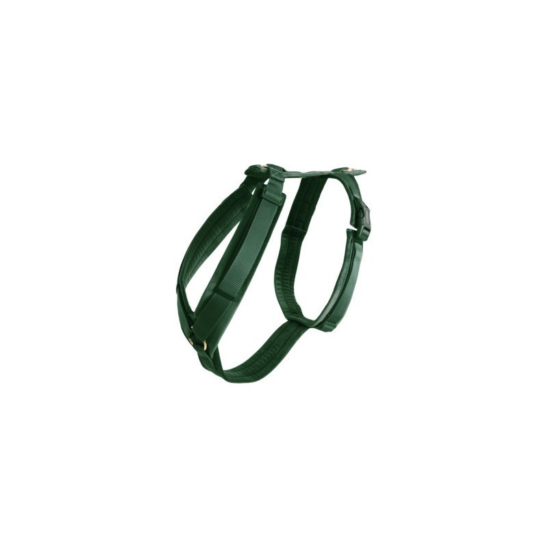 Aktives Hundegeschirr Kentucky Velvet