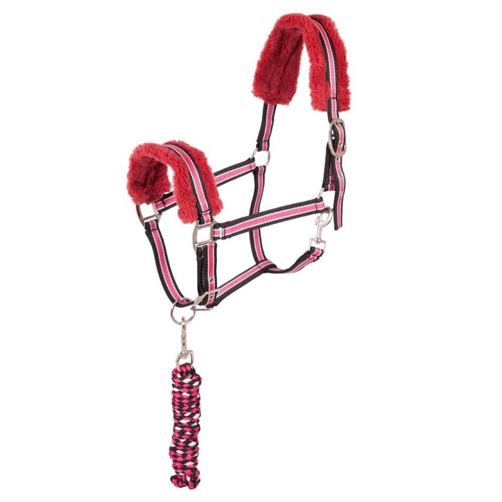 Fleece-gefüttertes Set aus Halfter und Longiergurt für Pferde Premiere Equitation