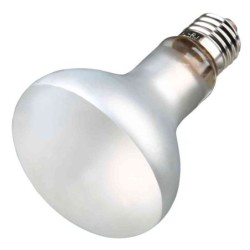 Mini uv-b Lampe Autostart Trixie ProSun Mixed D3