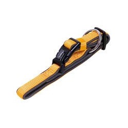 Nobby Halsband Classic Preno [orange/grau - L: 40-55 cm, B: 25/35 mm]