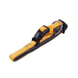 Nobby Halsband Classic Preno [orange/grau - L: 50-65 cm, B: 25/35 mm]