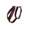 Aktives Hundegeschirr Kentucky Velvet