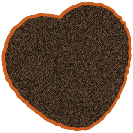 Fischfutter Mix für Karpfen Duvoplus Koï