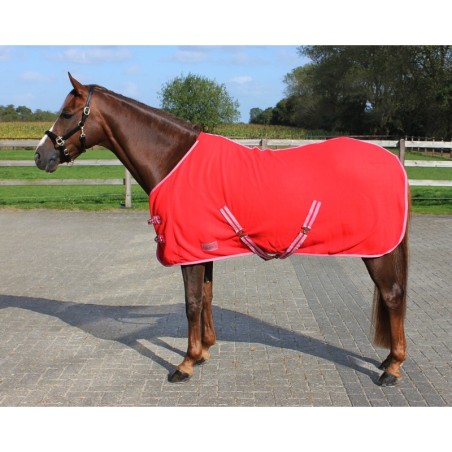 Fleece-Decke mit Riemen Q-essentials Color