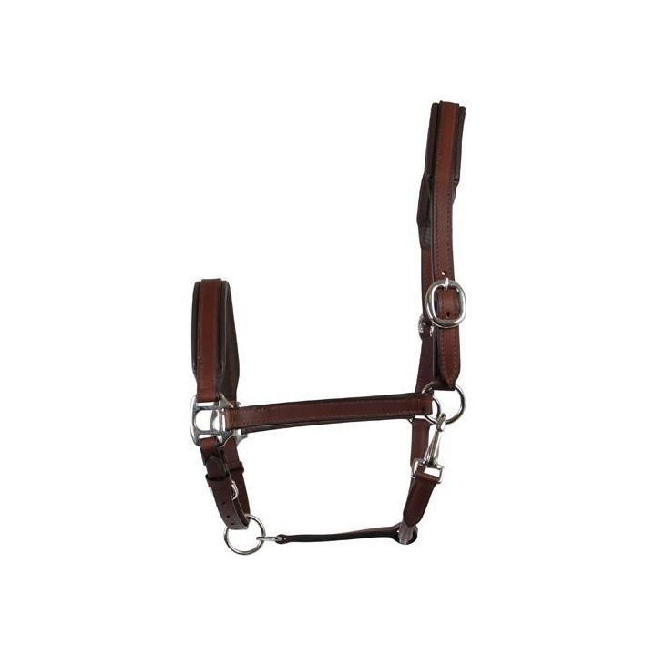 Halfter aus Leder HorseGuard