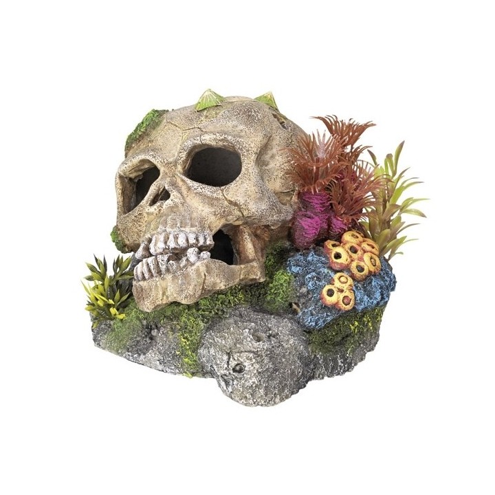 Aquariumdekoration Schädel mit Pflanzen Nobby Pet