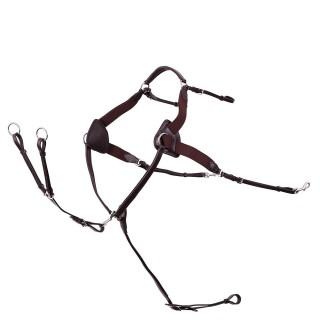 Jagdhalsband für Pferde Premiere