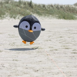 Pinguin-Wetterfahne HQ Kites Birdeez