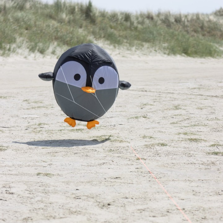 Pinguin-Wetterfahne HQ Kites Birdeez
