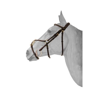 Reittrense Mexikanisches anatomisch gekreuztes Reithalfter HFI Fancy