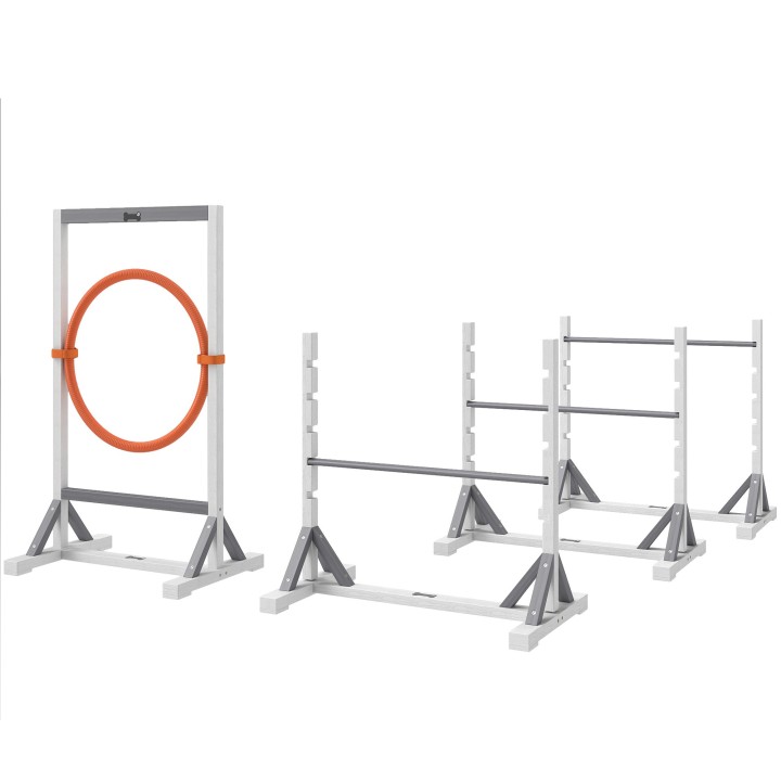 PawHut Agility Set Hunde 4-teiliges Agility-Ausrüstung für Hundetraining Steckhürdenset mit höhenverstellbar Hürden Reifen Tr