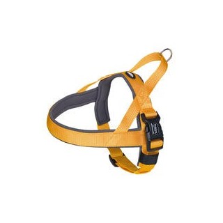 Nobby Norwegergeschirr Classic Preno