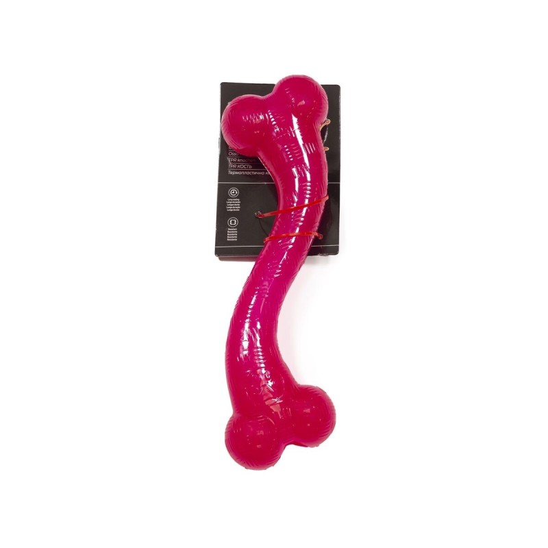 Knochen Gloria Rosa 30 cm