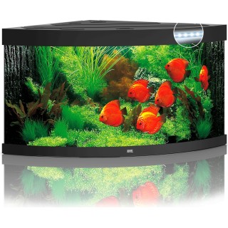 Juwel Trigon 350 LED Aquarium - schwarz
