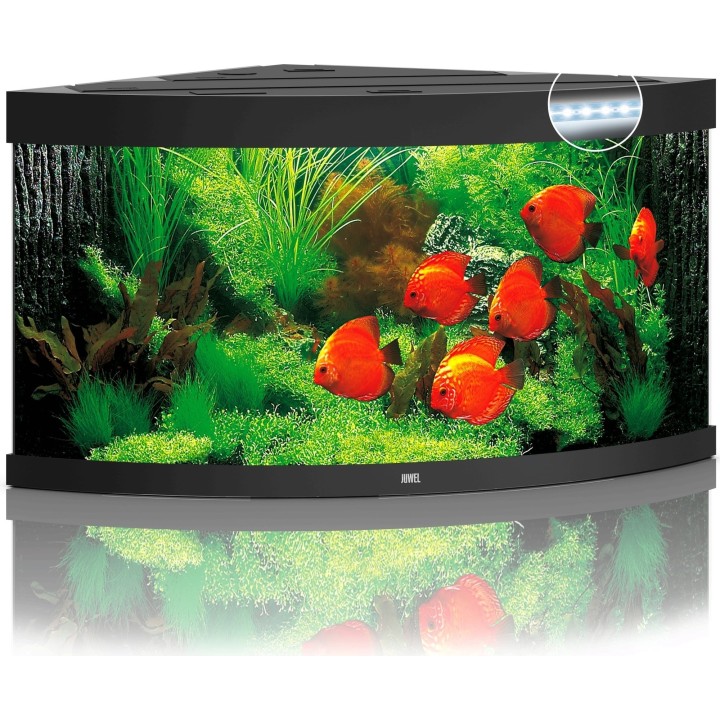 Juwel Trigon 350 LED Aquarium - schwarz