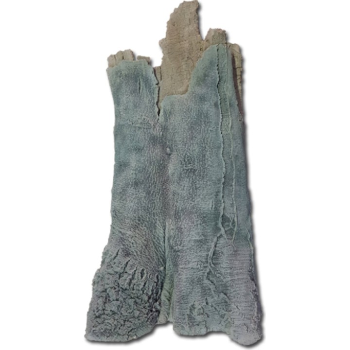 Back to Nature Amazonas Modul - B (42x14x73cm)