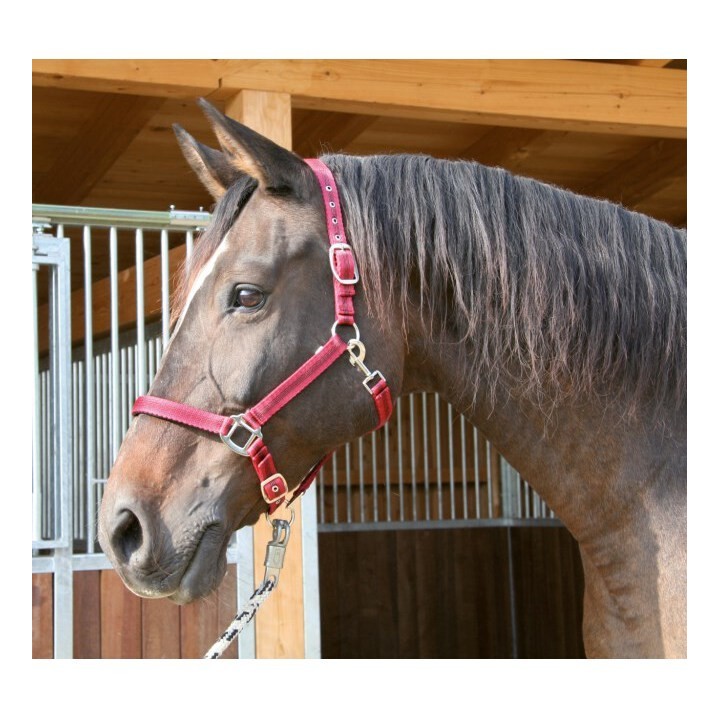 Halfter Full 2 Einstellungen Kerbl mustang