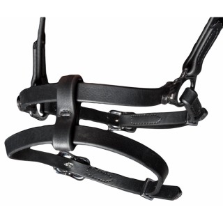 Reittrense mit kombiniertem Reithalfter Karlslund