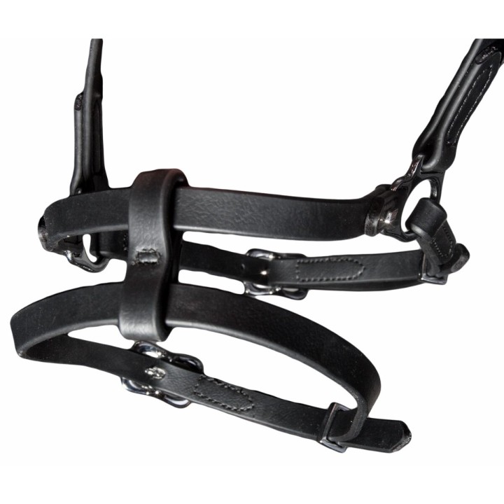 Reittrense mit kombiniertem Reithalfter Karlslund