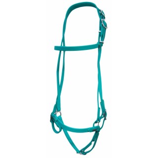 Reittrense mit hannoveranischem Reithalfter Karlslund