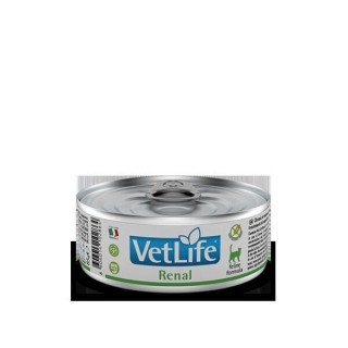 Trockenfutter für Katzen Farmina Vet Life Renal