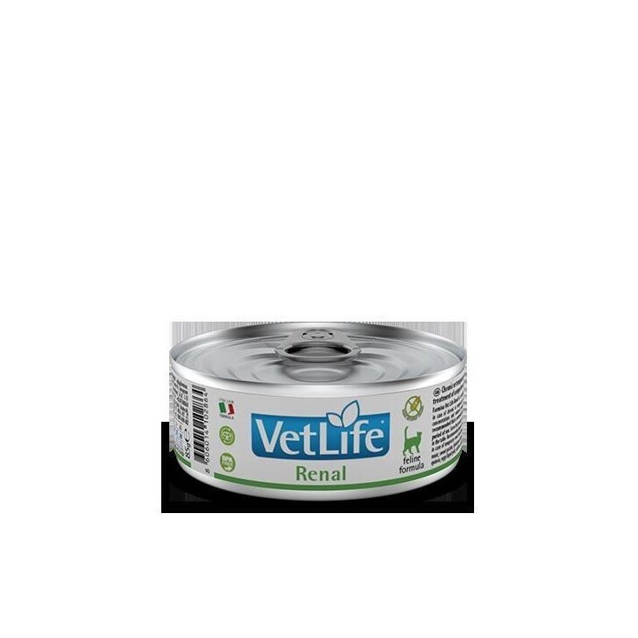 Trockenfutter für Katzen Farmina Vet Life Renal
