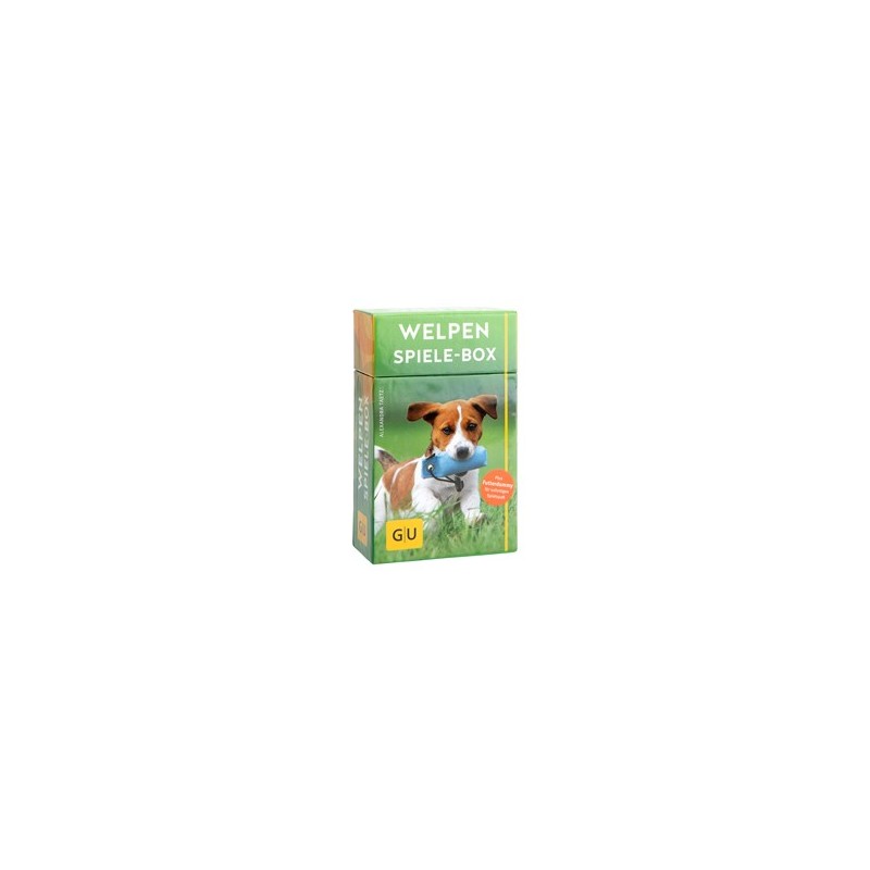 Welpen Spiele-Box