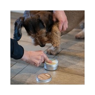 joveg Pfotensalbe WUNDer-Pflege, 80 g