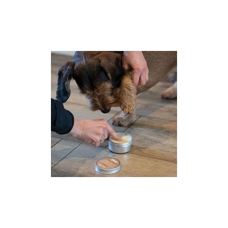 joveg Pfotensalbe WUNDer-Pflege, 80 g