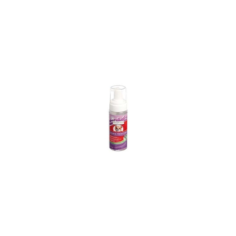 bogacare® Trockenshampoo Clean & Fresh Foam, 150 ml