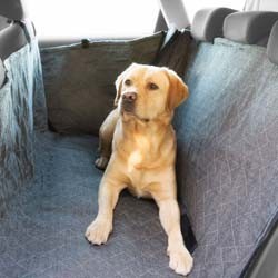 Hunde-Hundedecke Allside Prestige grau, Maße: ca. 155 x 140 x 55 cm
