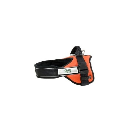 alsa-brand Nylon-Geschirr Ultimate Professional orange, Breite: ca. 25 mm, Bauchumfang: ca. 35 - 45 cm
