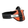 alsa-brand Nylon-Geschirr Ultimate Professional orange, Breite: ca. 25 mm, Bauchumfang: ca. 35 - 45 cm