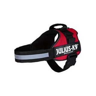 Julius-K9® Hundegeschirr Power rot, Gr. 2XS, Breite: 20 mm, Bauchumfang: ca. 33 - 45 cm