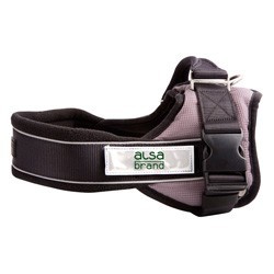 alsa-brand Nylon-Geschirr Ultimate Professional anthrazit, Breite: ca. 25 mm, Bauchumfang: ca. 35 - 45 cm