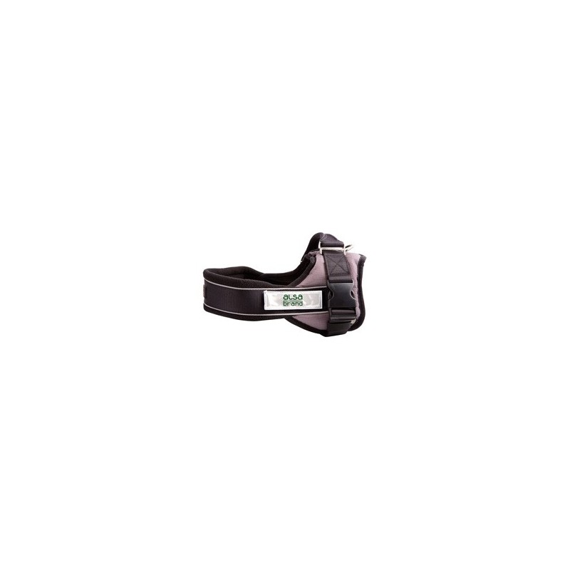 alsa-brand Nylon-Geschirr Ultimate Professional anthrazit, Breite: ca. 25 mm, Bauchumfang: ca. 35 - 45 cm