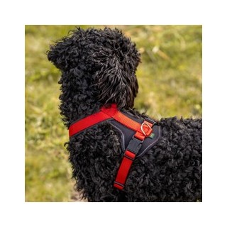 HUNTER Hundegeschirr Neopren rot, Gr. S, Breite: ca. 15 mm, Bauchumfang: ca. 45 - 57 cm