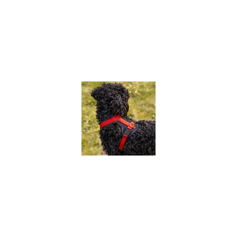 HUNTER Hundegeschirr Neopren rot, Gr. S, Breite: ca. 15 mm, Bauchumfang: ca. 45 - 57 cm