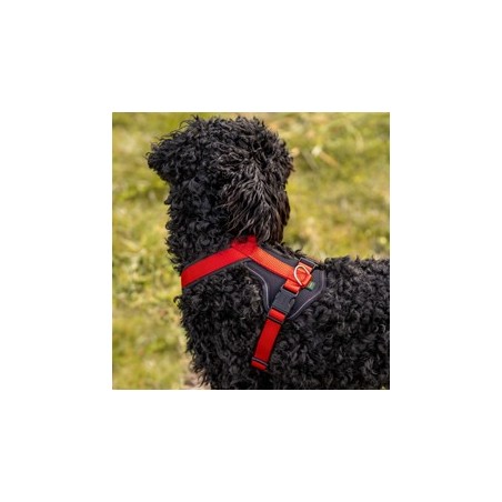 HUNTER Hundegeschirr Neopren rot, Gr. S, Breite: ca. 15 mm, Bauchumfang: ca. 45 - 57 cm
