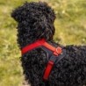 HUNTER Hundegeschirr Neopren rot, Gr. S, Breite: ca. 15 mm, Bauchumfang: ca. 45 - 57 cm