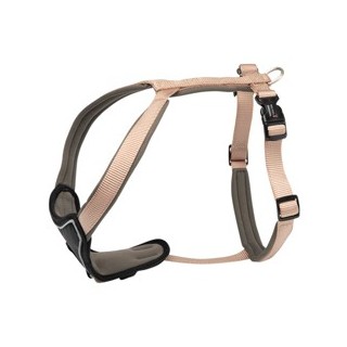 WOLTERS Hundegeschirr Professional Comfort champagner/trüffel, Gr. -1, Breite: ca. 15 mm, Bauchumfang: ca. 27 - 32 cm