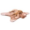 Hundekuscheldecke Friends beige, Maße: ca. 121 x 121 cm