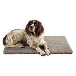 Florbed Premium grau, Gr. 50 x 70 cm