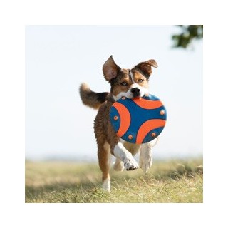 Chuckit! Frisbee Whistle Flight blau-orange, Durchmesser:  ca. 23 cm