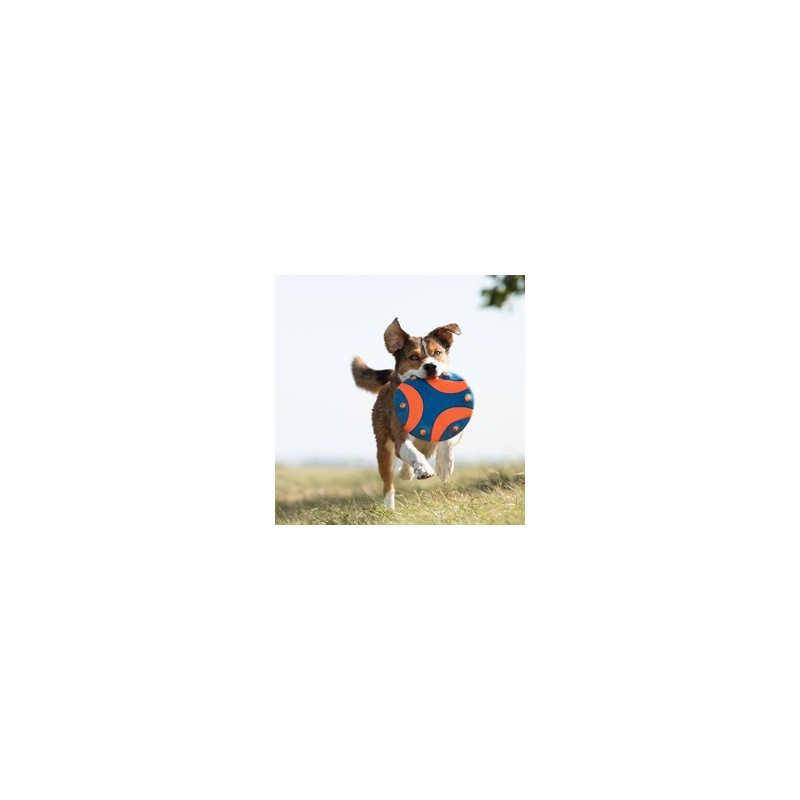 Chuckit! Frisbee Whistle Flight blau-orange, Durchmesser:  ca. 23 cm