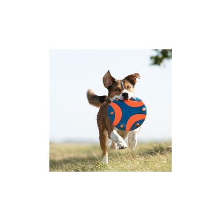 Chuckit! Frisbee Whistle Flight blau-orange, Durchmesser:  ca. 23 cm
