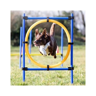TRIXIE Reifen-Set Fun-Agility blau, Höhe: ca. 100 cm, Durchmesser:  ca. 60 cm