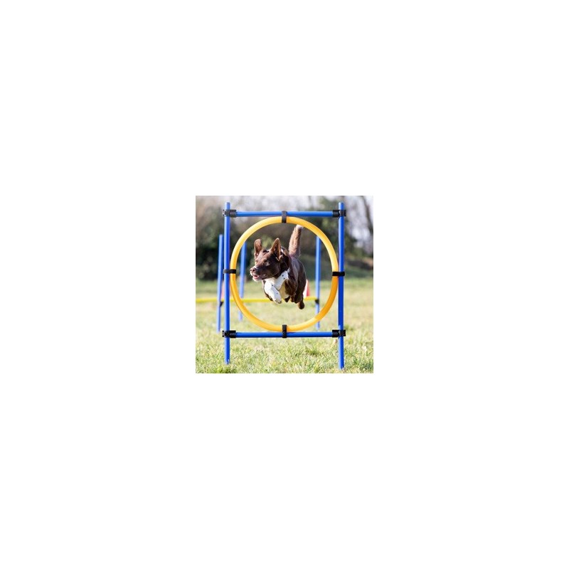 TRIXIE Reifen-Set Fun-Agility blau, Höhe: ca. 100 cm, Durchmesser:  ca. 60 cm