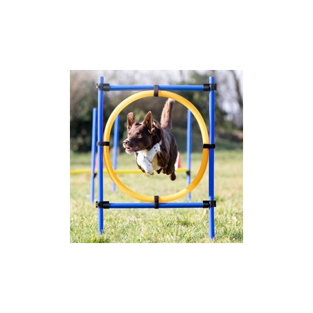 TRIXIE Reifen-Set Fun-Agility blau, Höhe: ca. 100 cm, Durchmesser:  ca. 60 cm