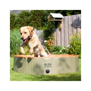 alsa-brand Dog-Playpool grün, Maße: ca. 80 x 20 cm